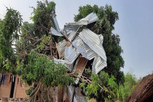 Des-toitures-interceptees-par-des-arbres-indiquent-la-puissance-de-la-tornade