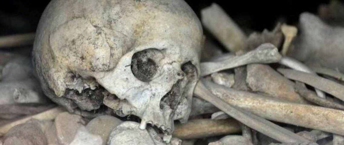 cameroun-ossements-humains-1200x675-1-1140x480