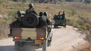 armee-camerounaise