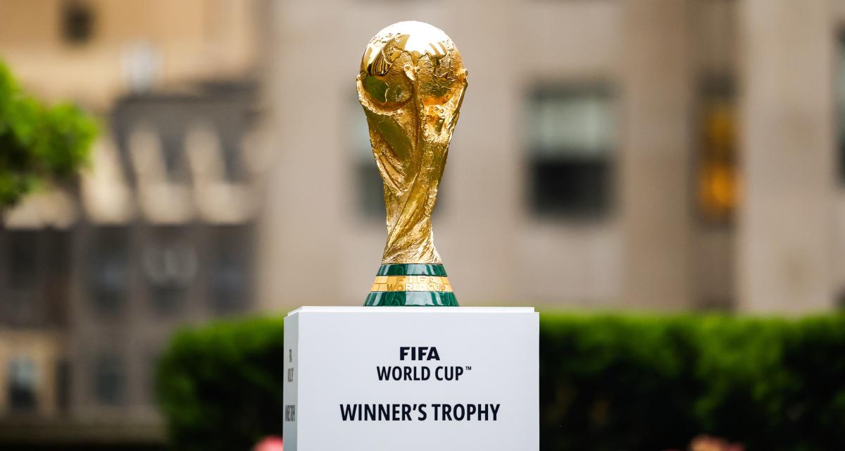 1200-L-coupe-du-monde-2022-qui-sont-les-favoris-de-la-comptition