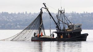 Commercial Fishing boat