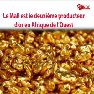 mali1 copie