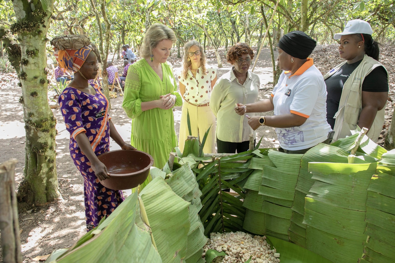 Côte d’ivoire : Nialé Kaba fait visiter une plantation de cacao à La Reine Mathilde de la Belgique