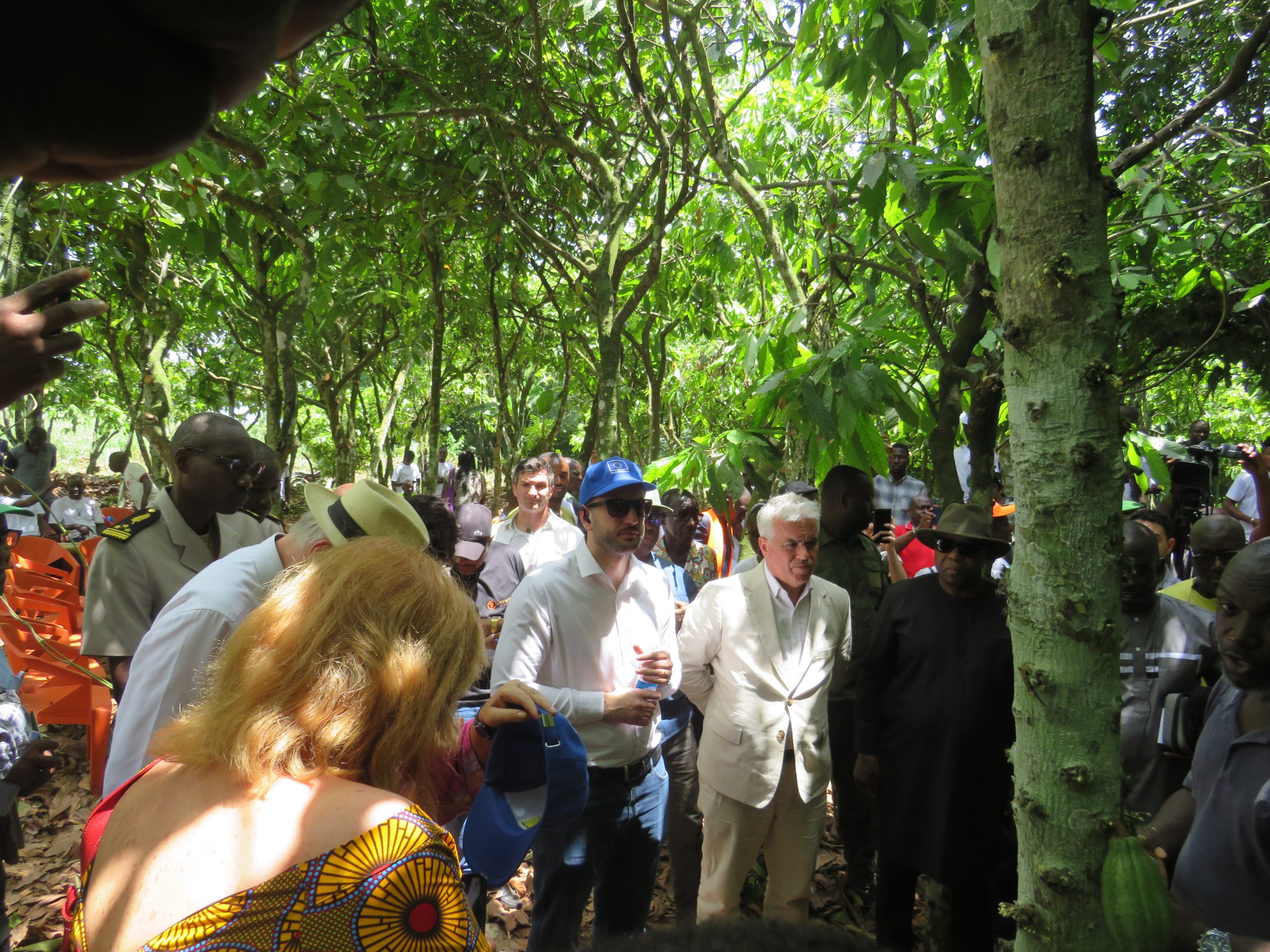 Café-cacao / Nouvelle réglementation : des experts à Abidjan pour s’assurer de l’ application