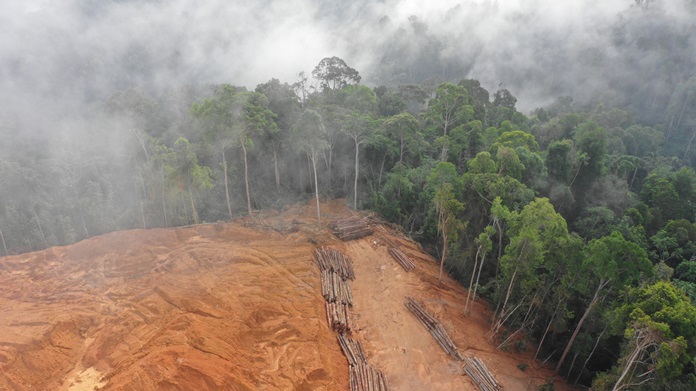 une-amazonie-deforestation