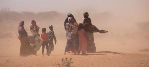 L'Allemagne soutient cinq pays du Sahel face à la crise alimentai