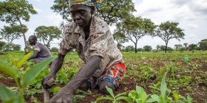 Le Soudan du Sud lance un projet contre l'insécurité alimentaire