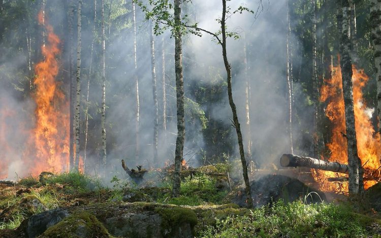 incendie-1-e1717143558142