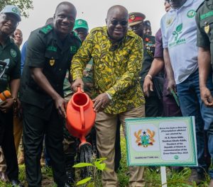 Le Ghana prévoit de planter dix millions d’arbres cette année