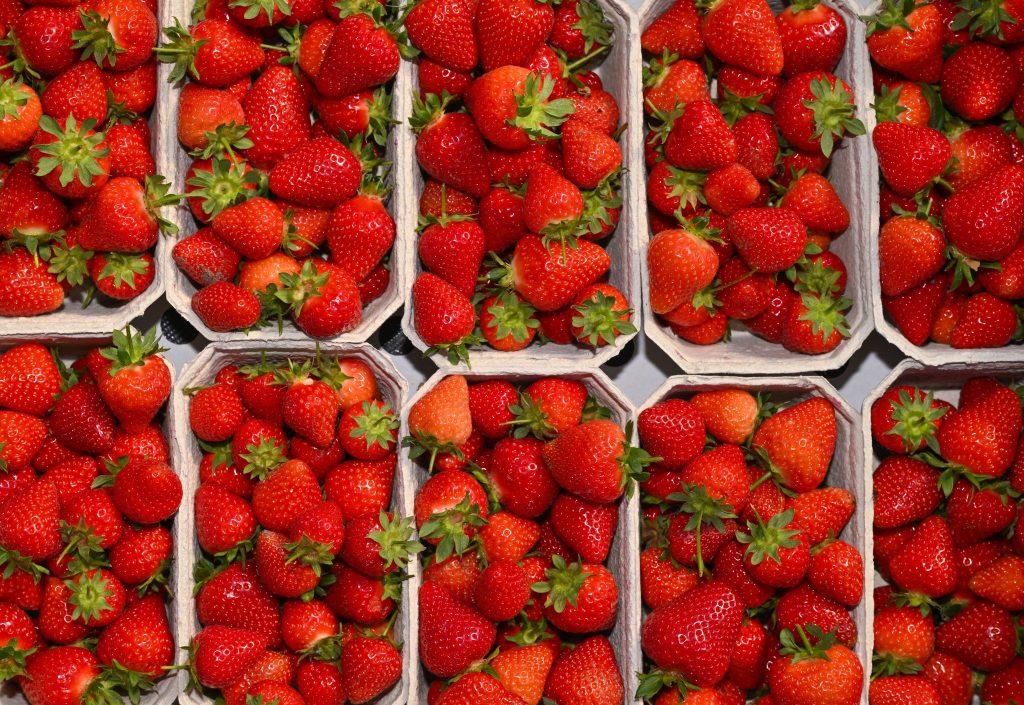 Légumes et fruits : Le Maroc exporte 35 000 tonnes vers l'Allemag