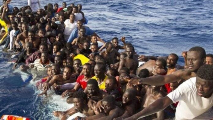 migrants-l-696x392