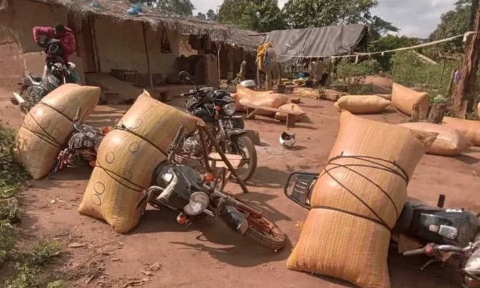 Trafic des produits agricoles : plus de 100 sacs de fèves de cacao à Sipilou