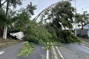 Mozambique: 34 morts causés par le cyclone Chido