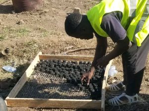 Ce  jeune Ivoirien du nom de Yves Henry Kevin Brou Thiemele transforme les cabosses de cacao et les coques de coco en charbon biologique, offrant ainsi une alternative écologique aux combustibles fossiles
