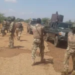 Drame au Nigeria : 17 soldats tués lors d’une embuscade