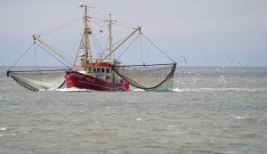 Pêche : la Côte d’Ivoire et l’union européenne prolongent leur coopération