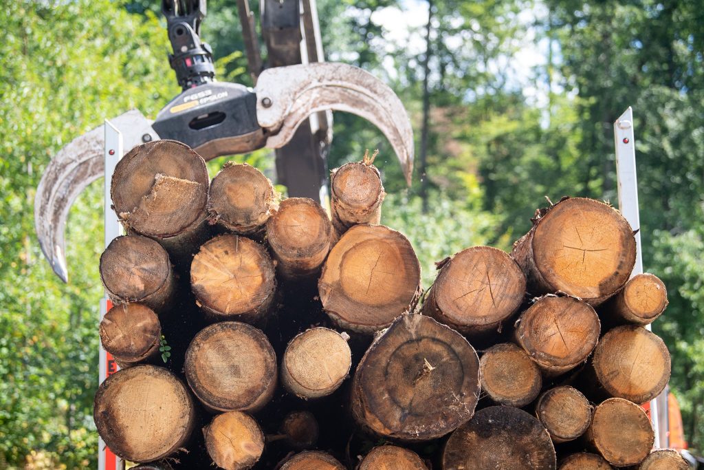 Burkina Faso : 24 000 plants forestiers mis en terre à Ziro pour reverdir la région