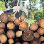 Burkina Faso : 24 000 plants forestiers mis en terre à Ziro pour reverdir la région